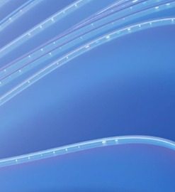 Phần mềm Microsoft Windows Server 2025 Datacenter - 16 Core Education