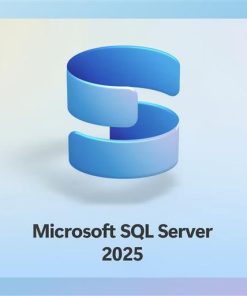 Phần mềm Microsoft SQL Server 2025 Enterprise core - 2 core License Pack