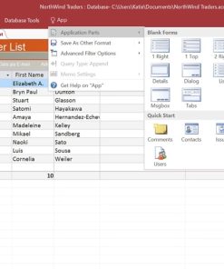 Phần mềm Microsoft Access LTSC 2024