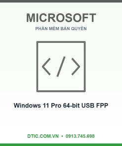 Microsoft Windows 11 Pro 64-bit USB FPP HAV-00163