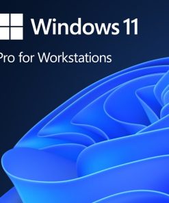 Phần mềm Microsoft Win 11 Pro for Workstation 64Bit Eng Intl 1pk DSP OEI DVD (HZV-00101)