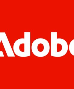 Phần mềm Illustrator for teams ALL Multiple Platforms Multi Asian Languages Subscription New 12 months
